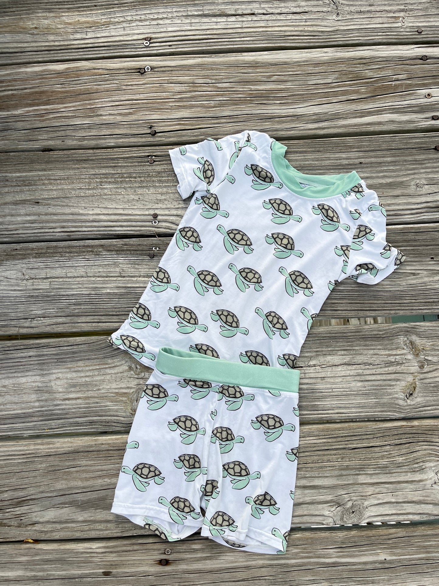 Turtle Two Piece Bamboo Pajamas