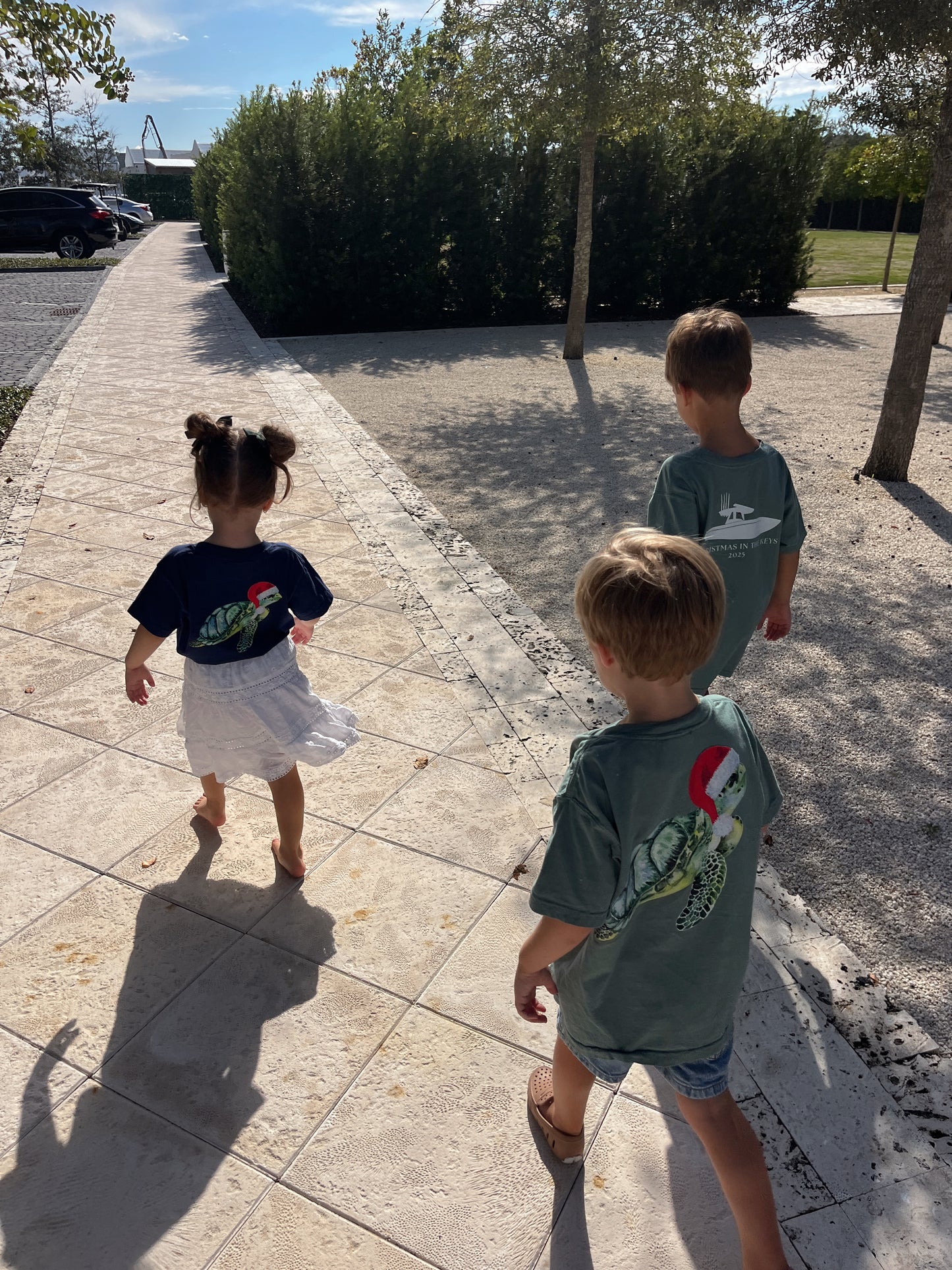 Kids Sea Turtle Santa Hat Tee