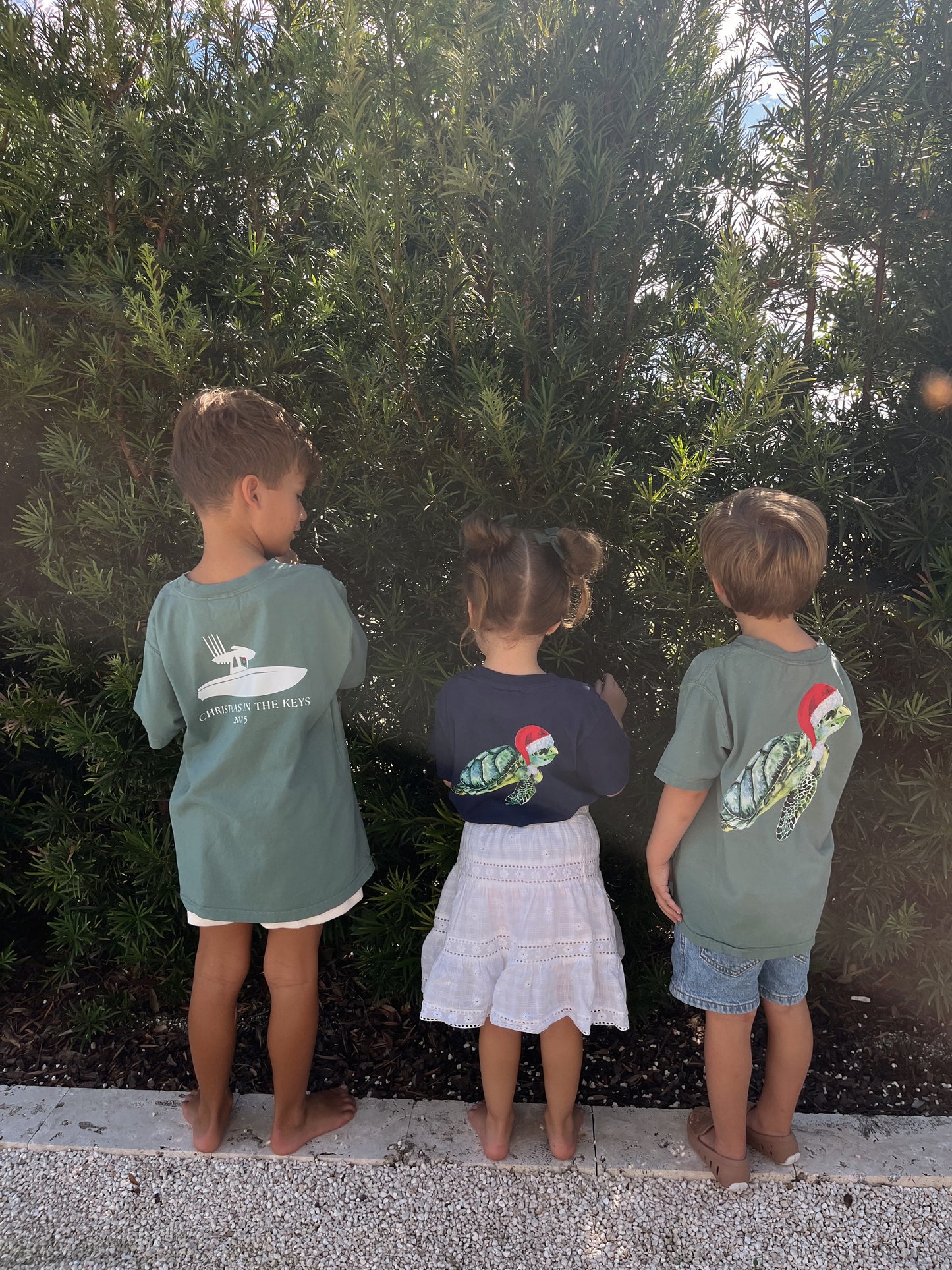 Kids Sea Turtle Santa Hat Tee
